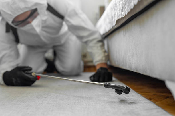 Professional Cockroach Control technician working in Rockwell Place, TX